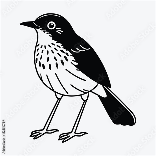 Antpitta line art White background illustration Generative Ai.