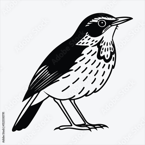 Antpitta line art White background illustration Generative Ai.