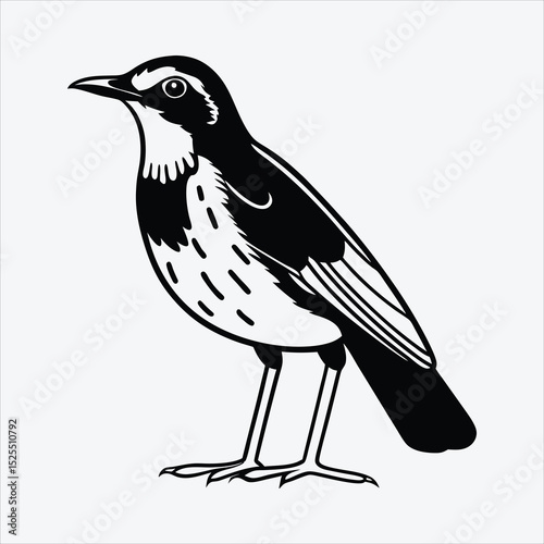 Antpitta line art White background illustration Generative Ai.