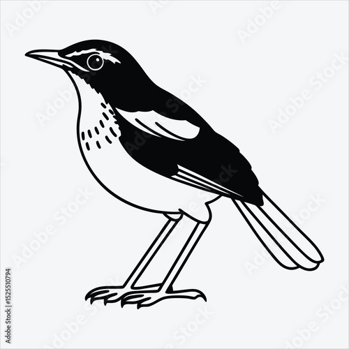 Antpitta line art White background illustration Generative Ai.
