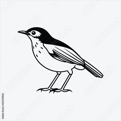 Antpitta line art White background illustration Generative Ai.