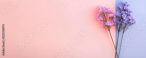 match gradient Delicate flowers against a pastel background, creating a soft and serene aesthetic.