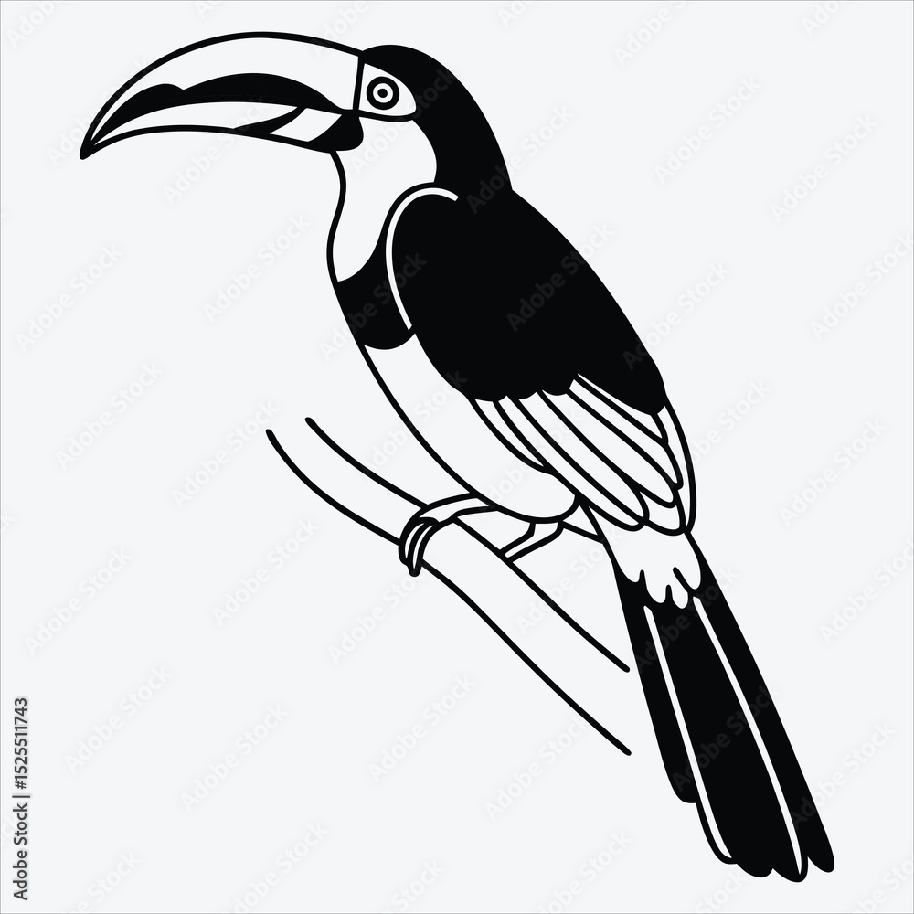 Fototapeta premium Aracari line art White background illustration Generative Ai.