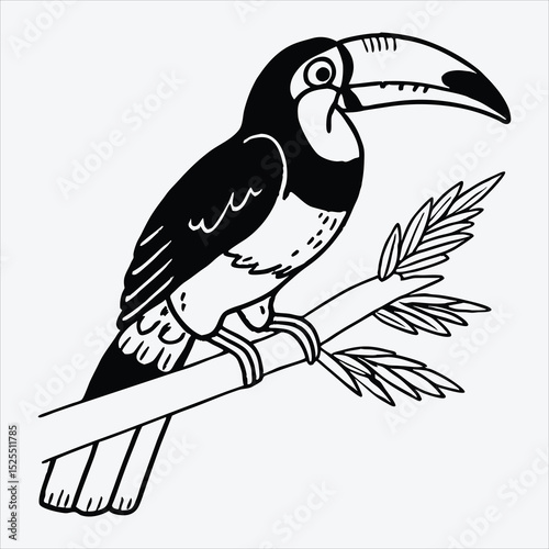 Aracari line art White background illustration Generative Ai.