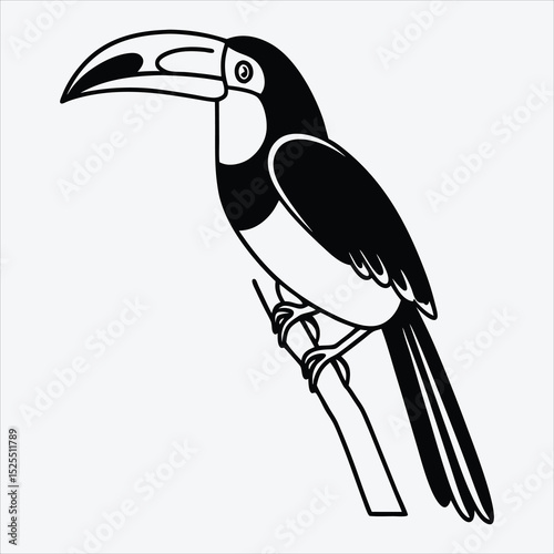 Aracari line art White background illustration Generative Ai.