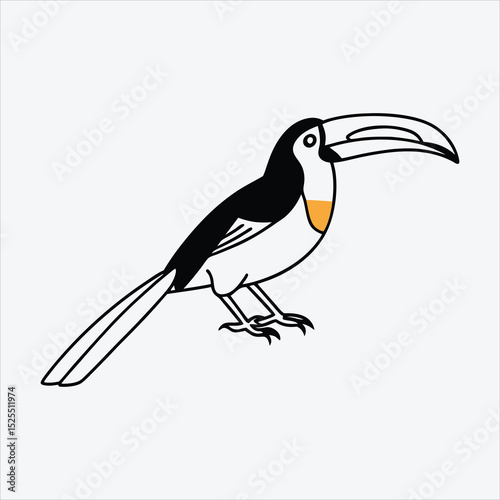 Aracari line art White background illustration Generative Ai.