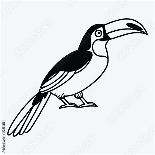 Aracari line art White background illustration Generative Ai.