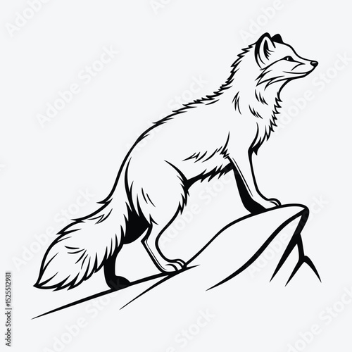Arctic Fox line art White background illustration Generative Ai.