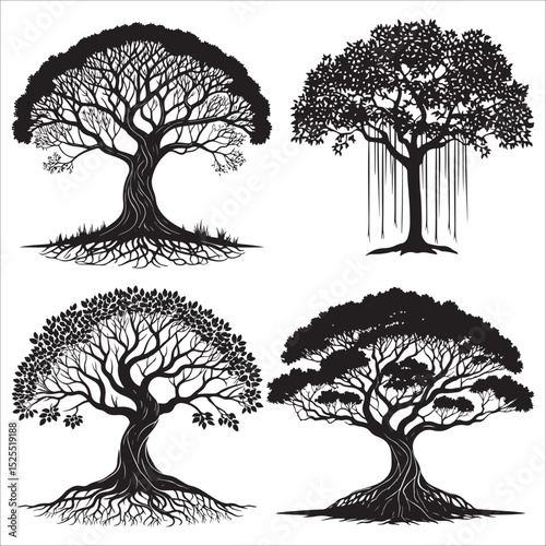best banyan tree silhouette vector