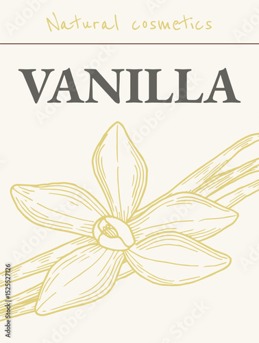 Vanilla Flower with Sticks Label. Hand drawn vector illustration of Natural cosmetic design template with drawing of vanilla. Sketch in line art style for package of aromatherapy and spa.