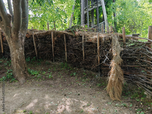 hedge as a natural garden fence