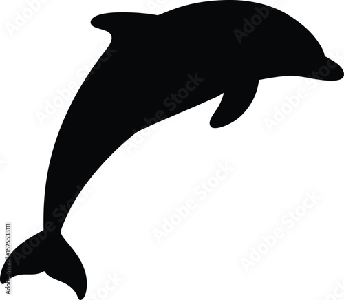 Silhouette of a dolphin leaping from the ocean
