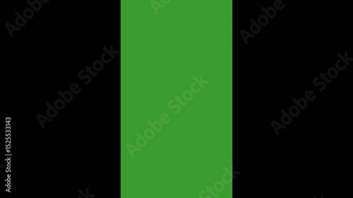 Vertical video