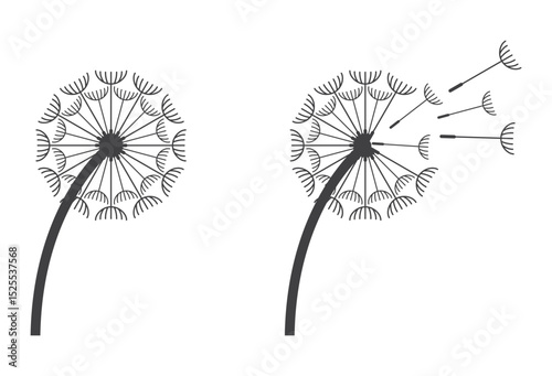  dandelion flower floral icon