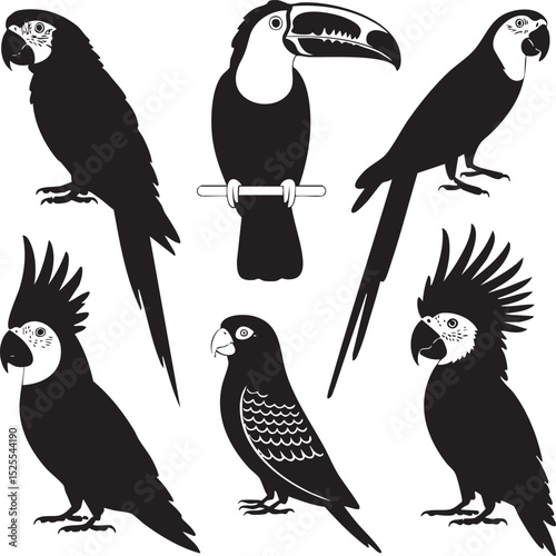 Exotic Birds Silhouette Collection