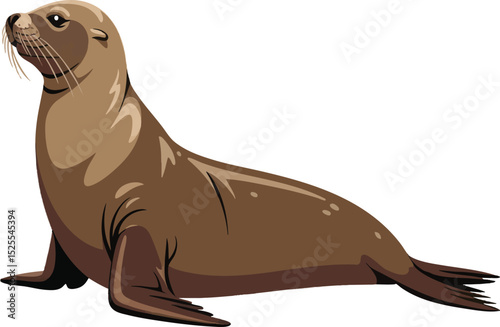 Illustrated Sea Lion Portrait