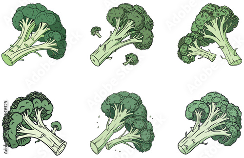 Broccoli Vector Design Fresh and Healthy Green Vegetable Illustration for Food, Organic, and Kitchen Themes