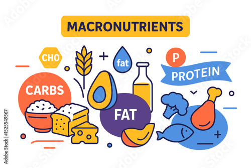 A collection of macronutrients and grocery food nutrients is outlined, featuring healthy elements such as vitamins, minerals, and a nutrition source vector illustration to plan a balance of carbs