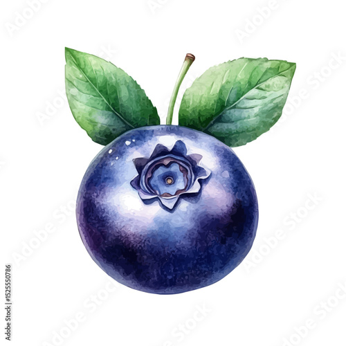 Sweet Small Ripe Blueberry, watercolor painting vector, high quality, isolated on a white background.