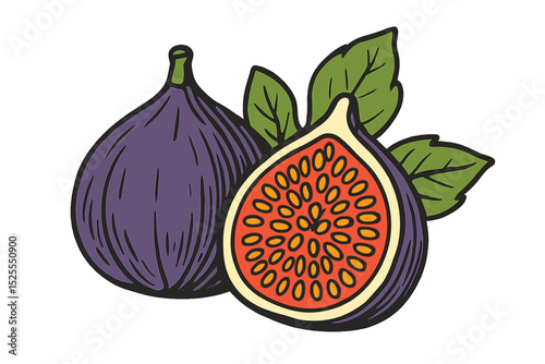 A vector illustration depicting a hand-drawn fig sketch set against an eco food background