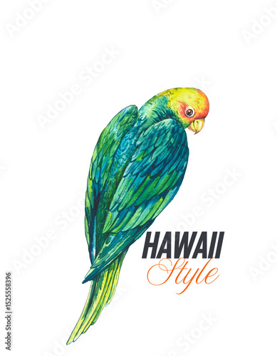 HAWAII STYLE 