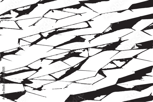 Abstract Geometric Crack Pattern in Black and White

