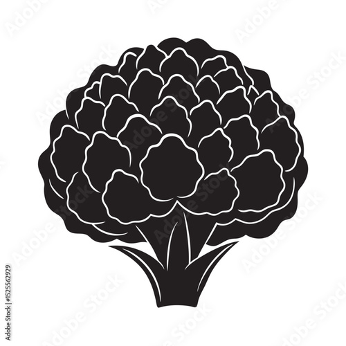 silhouette of single vegetable  on the white background
