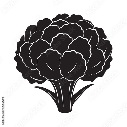 silhouette of single vegetable  on the white background