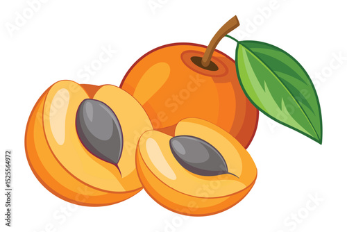 Juicy Apricots Fresh, Ripe, and Ready to Enjoy - A Delightful Summer Fruit