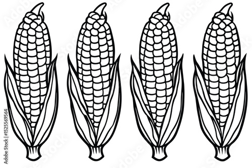 Four Corn Cobs A Detailed Line Drawing Illustration