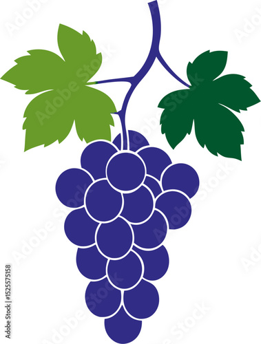bunch of grapes with leaves