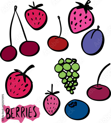 berries strawberry cherry blackberry plum doodle set