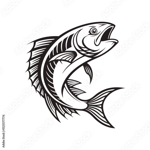 vector illustration of a fish