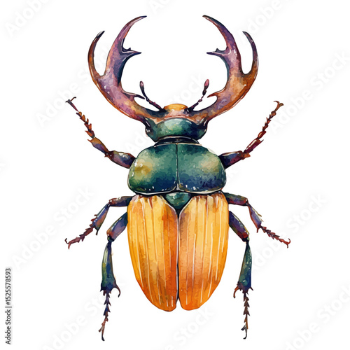 Stag Beetle, watercolor clipart vector, high quality, isolated on a white background.