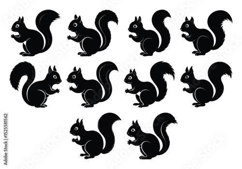 Squirrel silhouettes set, large pack of vector silhouette design, isolated white background