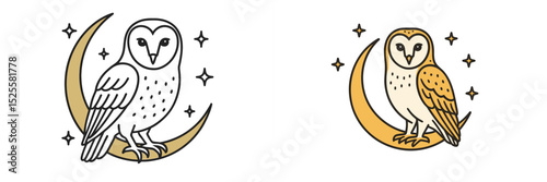 Unique illustrations of two barn owls on crescent moons surrounded by stars at night