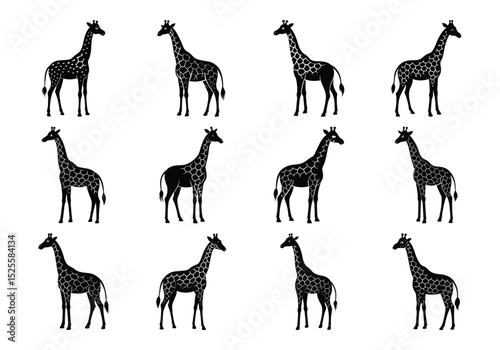 Set of silhouettes of giraffe animal