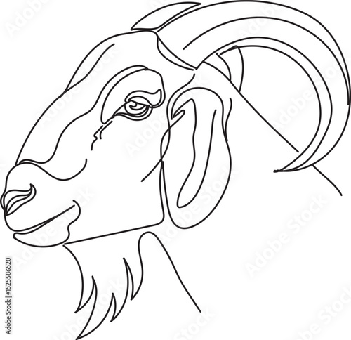 Cattle line drawing. cow, goat, sheep and camel. Eid al-Adha concept, the celebration of Muslim community festival design. Eid Mubarak greetings concept.