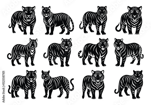 Tigers - wild animals, vector design of tigers isolated on white background