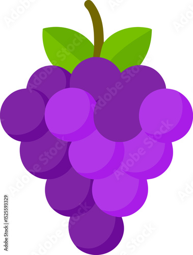 vector illustration of grapes