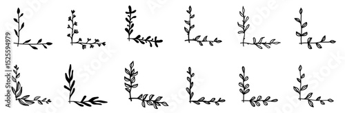 Simple floral border vector leaves ornament frame corner. Flourish vintage fancy natural wedding doodle sketch scribble collection. 