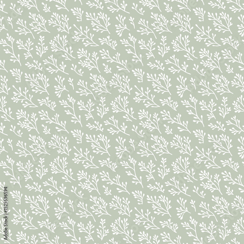 Vector floral seamless pattern. Botanical ornament with simple flower branches, twigs, leaves, seaweeds, corals. Minimal organic background texture. Sage green color. Repeated design for decor, print