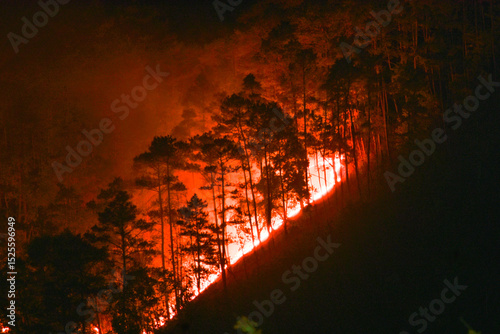 Obraz na płótnie Night shot of a fierce forest fire engulfing trees on a hillside in Meghalaya