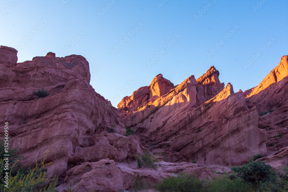 Obraz premium The Colorados Canyon, Quebrada de las Conchas, Salta, Argentina