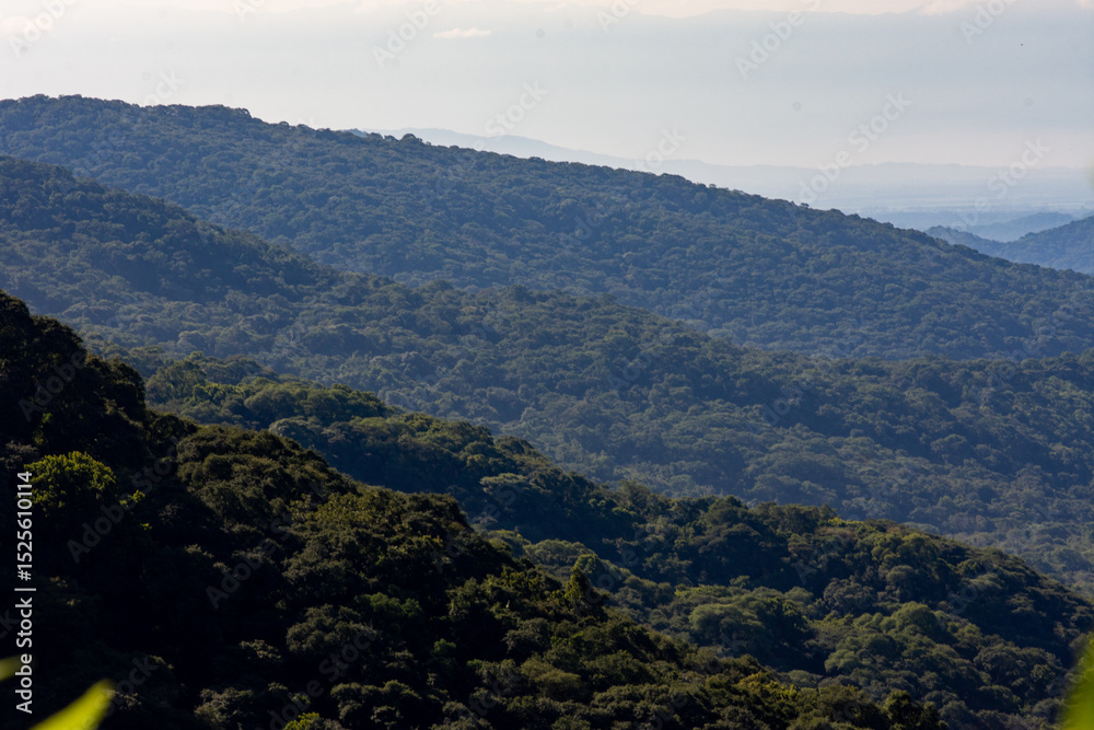Obraz premium Landscapes of the Yungas, Andean forest, and montane rainforest regions situated along Route 9 between Salta and Jujuy