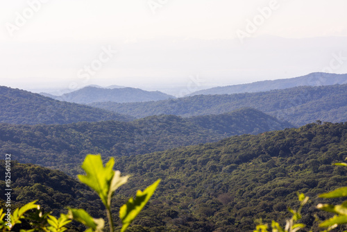 Landscapes of the Yungas, Andean forest, and montane rainforest regions situated along Route 9 between Salta and Jujuy photo