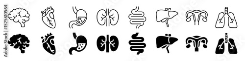Human organs and internal anatomy icon set. Linear and silhouette style.
