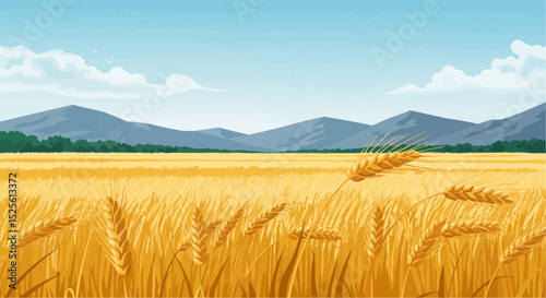 Wheat field with mountains under blue sky during daytime