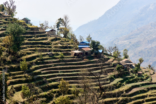 Wallpaper Mural Lush green terraced fields rise along the hillsides of Annapurna in Nepal, dotted with traditional houses. Trekkers experience the serene beauty of the landscape, enhanced by the majestic mountains Torontodigital.ca
