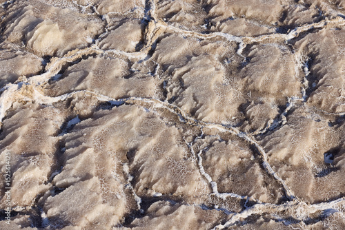 Wallpaper Mural The dry and cracked surface of the Dead Sea in Jordan showcases intricate salt formations under bright sunlight, illustrating the unique geological features of this hypersaline lake Torontodigital.ca